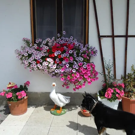 Appartement Areithof *