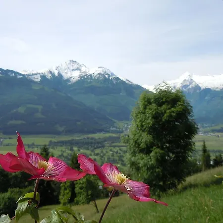 Appartamento Areithof *