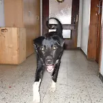 Διαμέρισμα Areithof